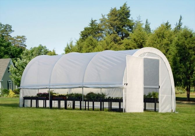 Arched greenhouse na gawa sa polyethylene at hugis na mga tubo