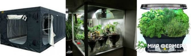 Mga awtomatikong mini greenhouse