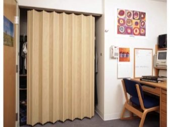 Jaluzele ușilor: ușile din lemn, jaluzele orizontale în ușă