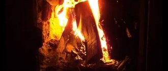 Brændende træstammer i ovnen