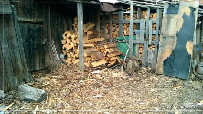 lemne de foc de conifere pe stradă