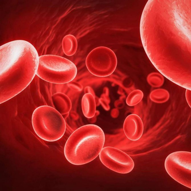 IR-stråling forbedrer blodcirkulationen