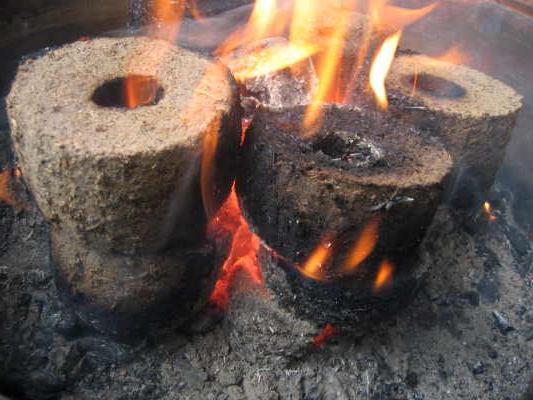 paggawa ng fuel briquettes sa bahay