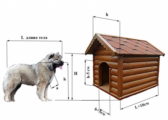 Cum și ce să izolăm o casă pentru câini pentru iarnă în interiorul fotografiei