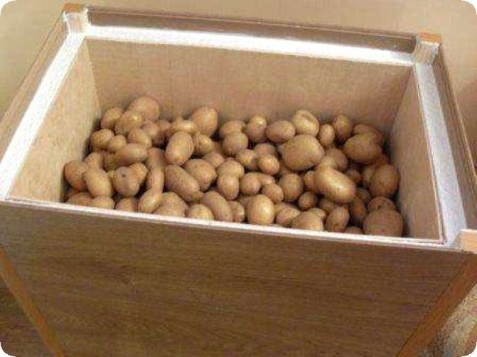 Cum se face o cutie pentru depozitarea legumelor pe balcon
