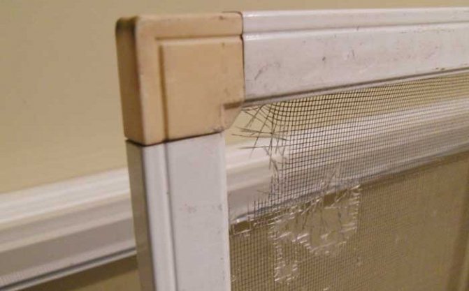 Myggenet på plastvinduer: hvordan man fjerner nettet fra vinduet uden overdreven brug
