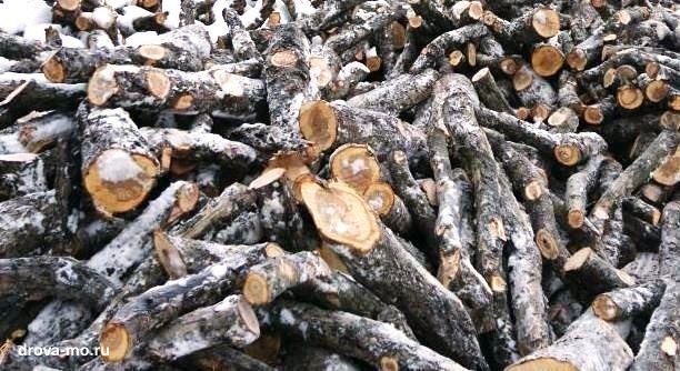 Je možné kamna vytápět jablečným dřevem