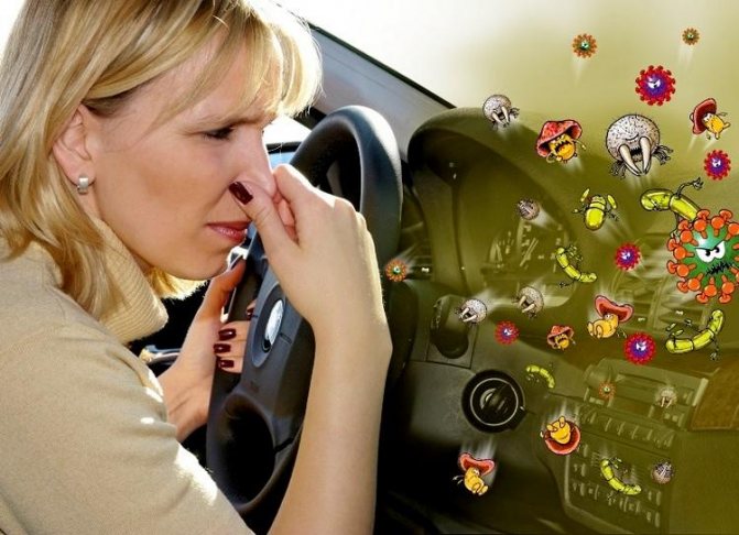 Miros neplăcut în mașină