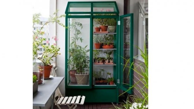 greenhouse ng balkonahe