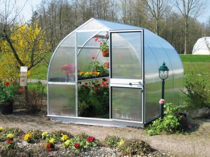 Ang greenhouse na gawa sa polycarbonate at hugis na mga tubo
