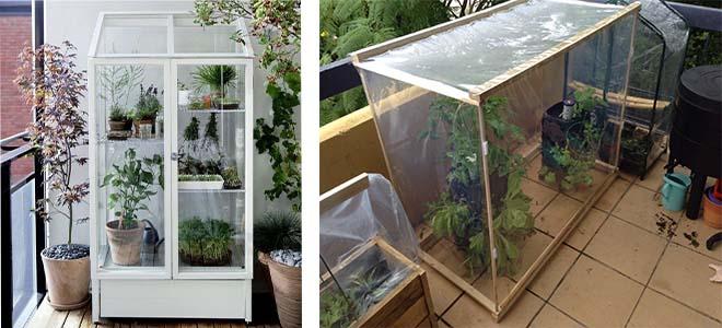 mga greenhouse para sa balkonahe