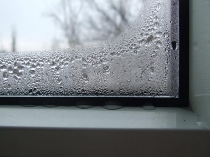 Hvorfor vinduer i huset sveder, og hvordan man kan slippe af med en lækage
