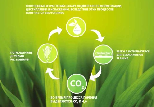 Paano gumagana ang mga biofuel