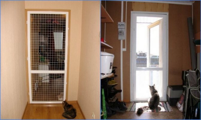 plasă anti-pisică pe ușă