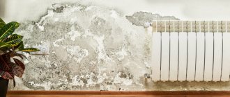umezeala și mucegaiul în apartament