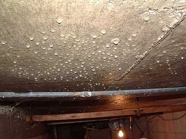 Det er vanskeligere at fjerne kondens i kælderen end at forhindre, at det vises