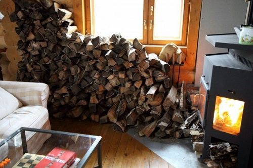 Recoltarea lemnului de foc uscat
