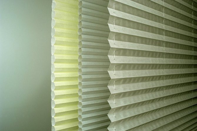 Pleated blinds